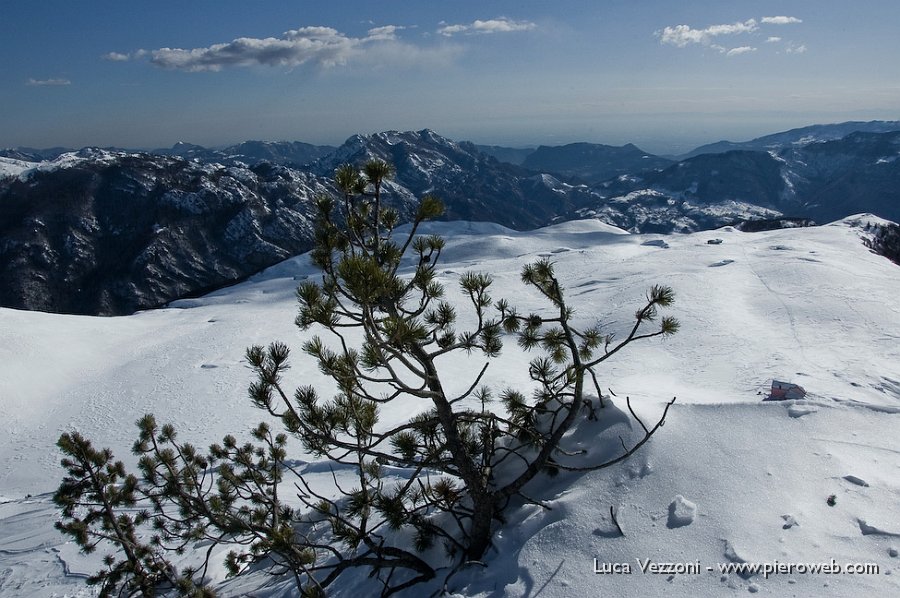 18-DALL'ALTURA DEI MUGHI SGUARDO SULLA STRADA PERCORSA.jpg